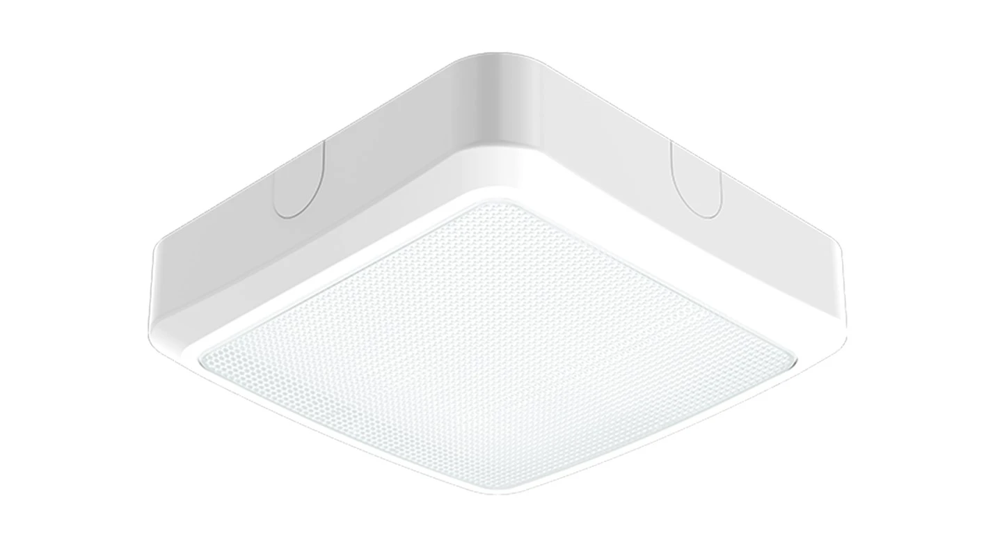 Pro S260 Karratu Bulkhead Argia